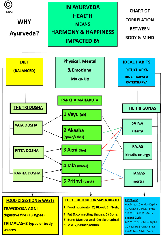 Principles of Ayurveda Sampurna Kerala Ayurveda Blog